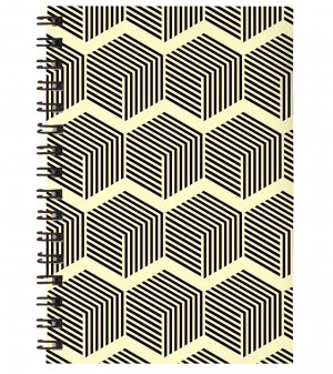 Caderno Universitário 017 Capa Dura em Papel Paraná / Miolo no 75grs 27,5 x 20 cm Miolo 1x1 | Capa 4x0 Capa UV Total Encadernação Wire-o 100 folhas (Não personalizamos o miolo).