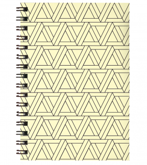 Caderno Universitário 018 Capa Dura em Papel Paraná / Miolo no 75grs 27,5 x 20 cm Miolo 1x1 | Capa 4x0 Capa UV Total Encadernação Wire-o 100 folhas (Não personalizamos o miolo).