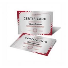 Certificado A4 Papel Especial 280gr 4x0 Papel Especial Metalizado 280gr A4 (21x29,7cm) 4x0  Cores  Corte Reto 